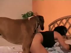 Nice quality dilettante brute fucking episode features dark brown cougar screwing her large dog 